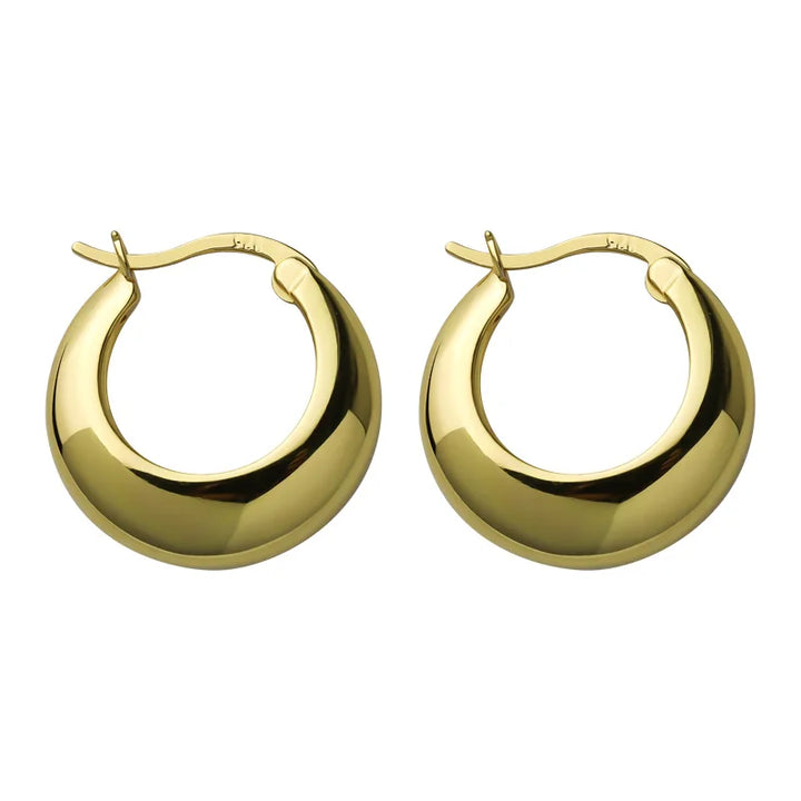 Earrings for Women Punk Ear Jewelry